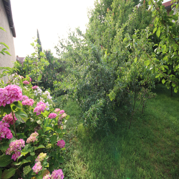 Offres de vente Villa Saint-Priest 69800